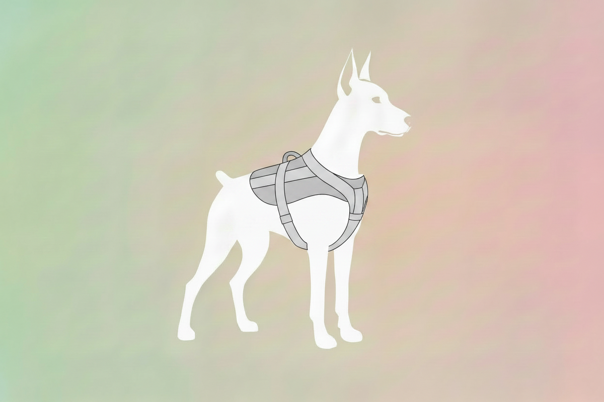Dog safety Vests