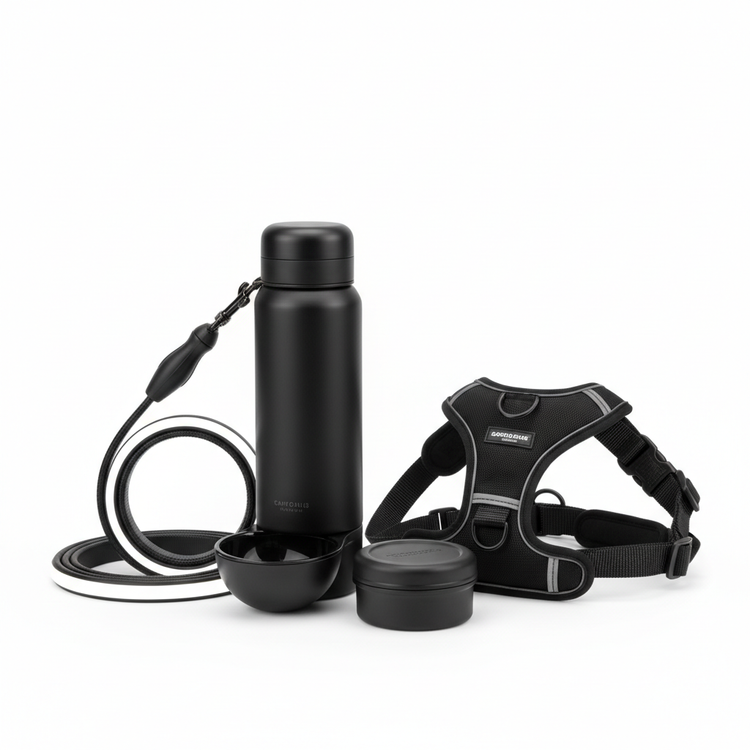 Night Walk Kit Bundle