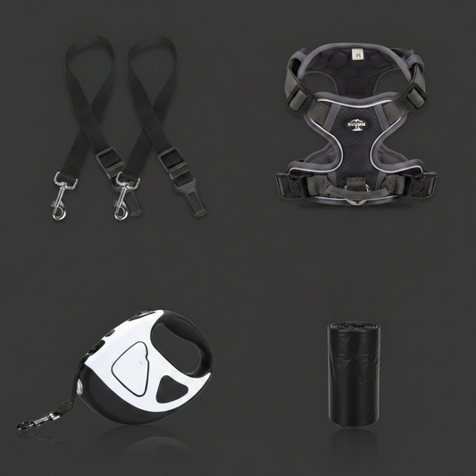 Night Walk Kit 🌙 — Standard Edition